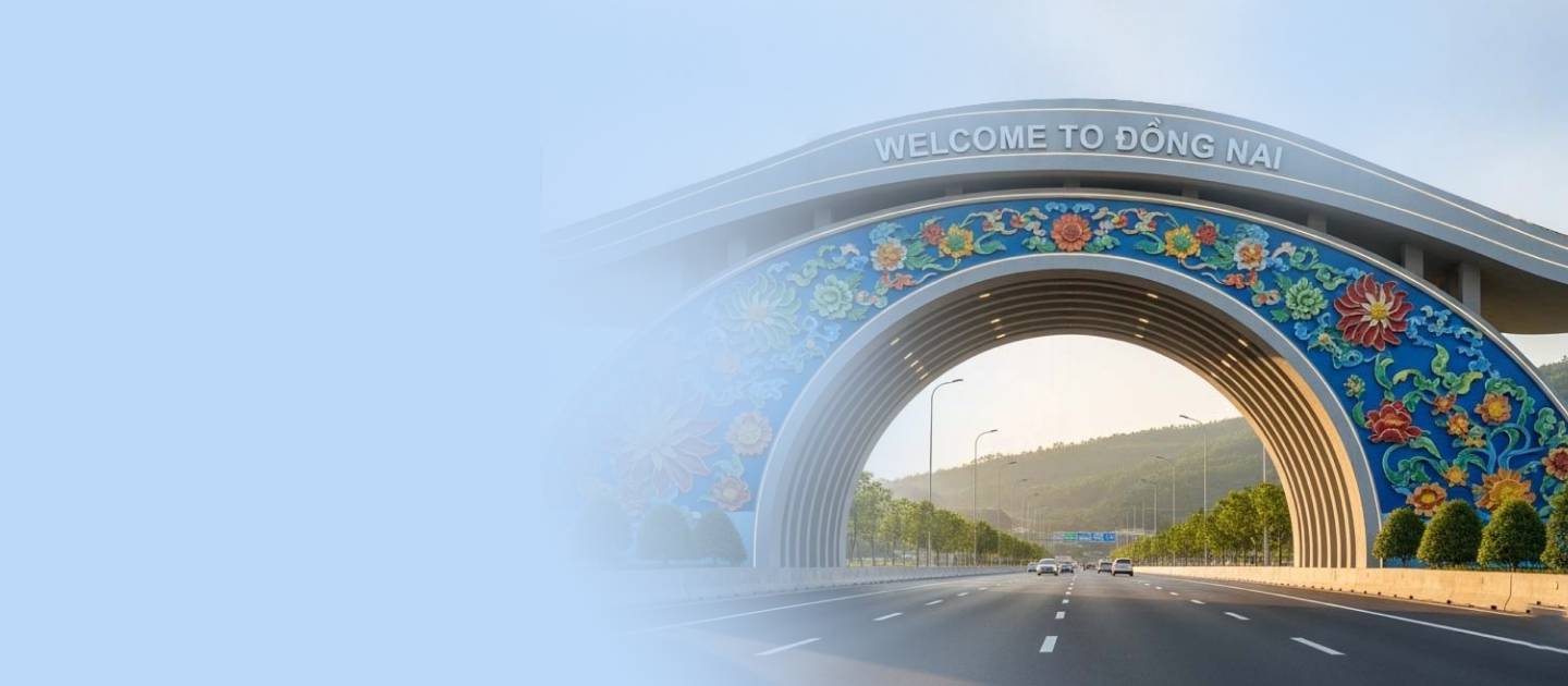 SEO Đồng Nai hình ảnh 1